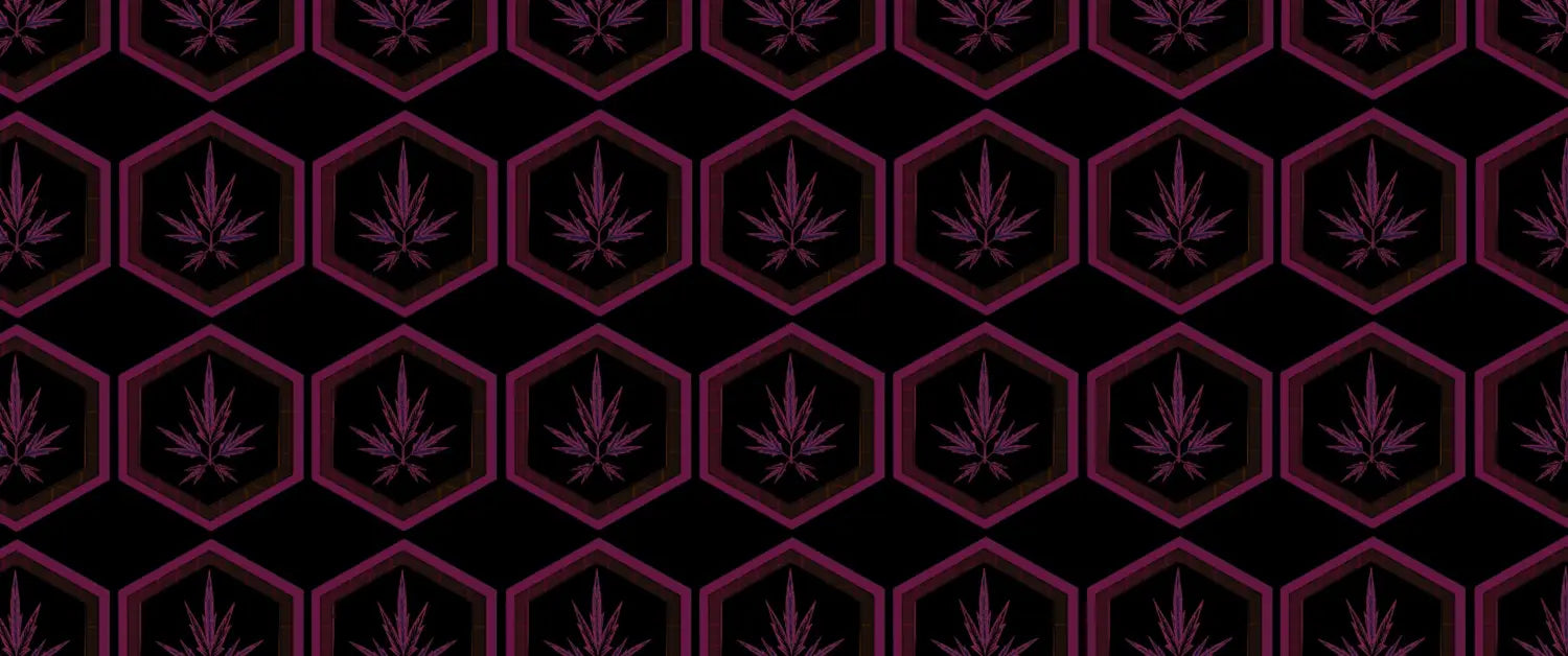 Fern Cannabis Seeds & Feathery Leaves