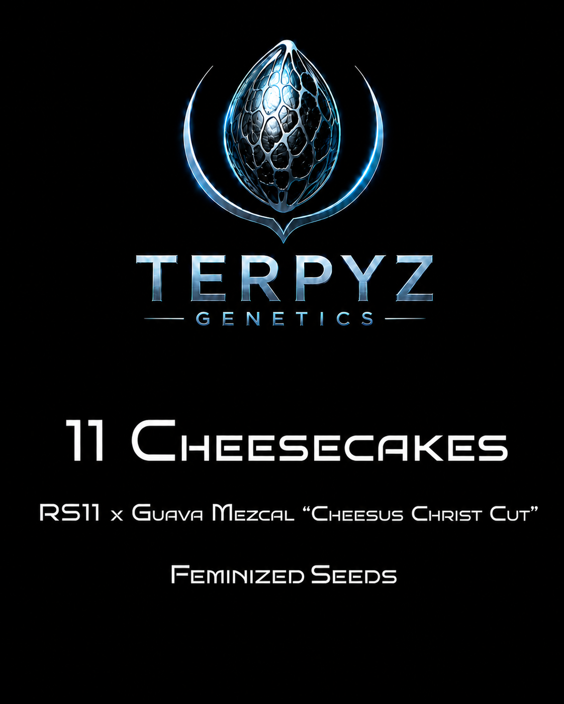 11 CHEESECAKES (RS11 x Guava Mezcal "Cheesus Christ Cut")