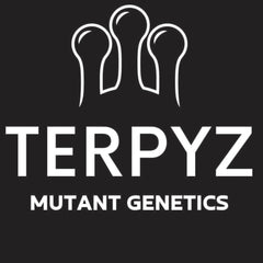 TerpyZ - Mutant Cannabis Seeds & Rare Cannabis Genetics