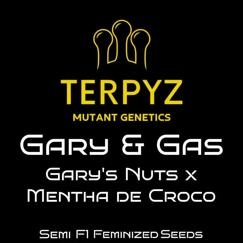 Gary & gas© fem terpyz feminized cannabis seeds new