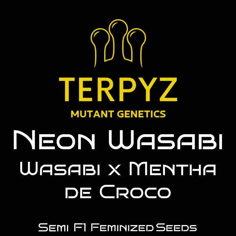 Neon wasabii© fem terpyz feminized cannabis seeds fern