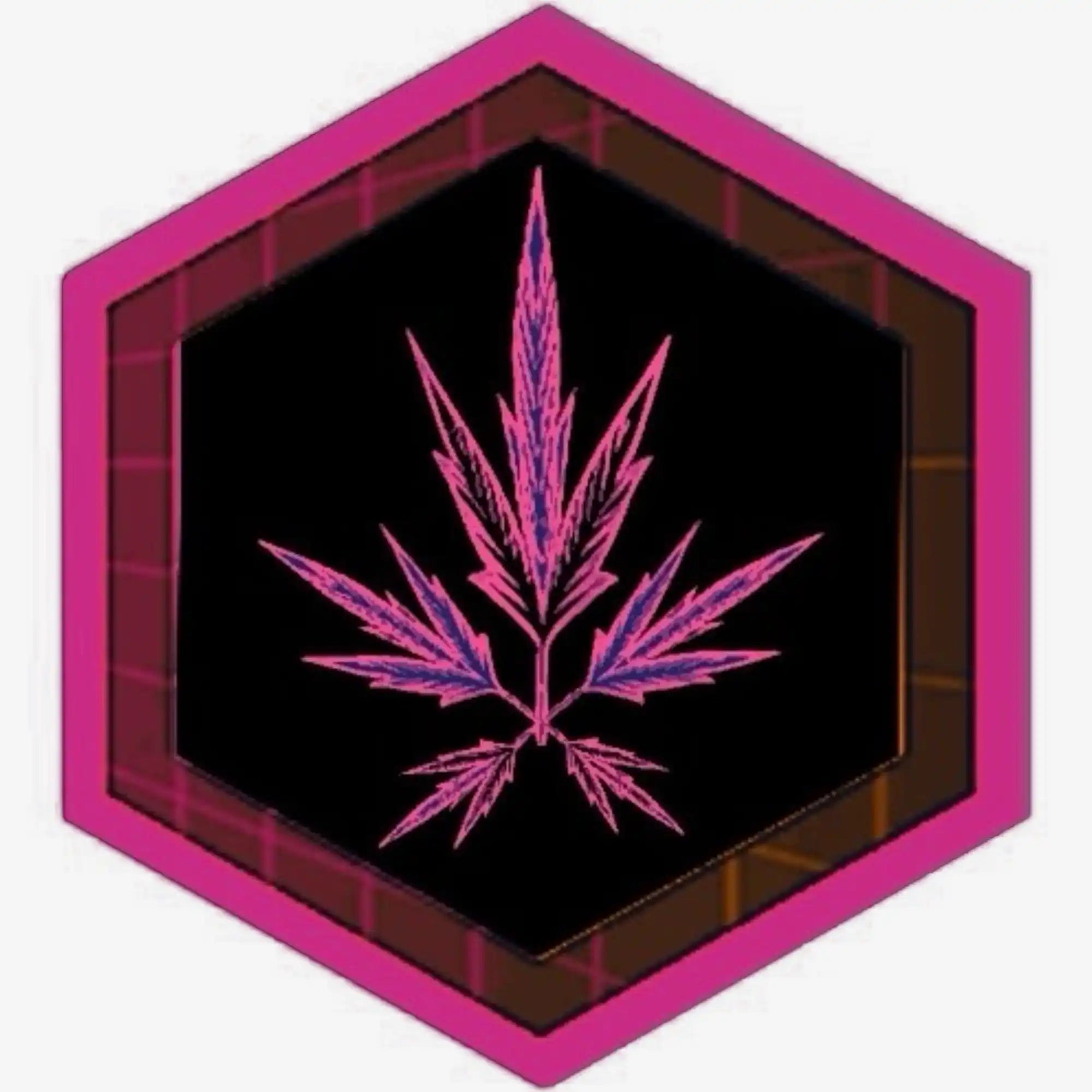 Fern Cannabis Seeds | Feathery Leaves
