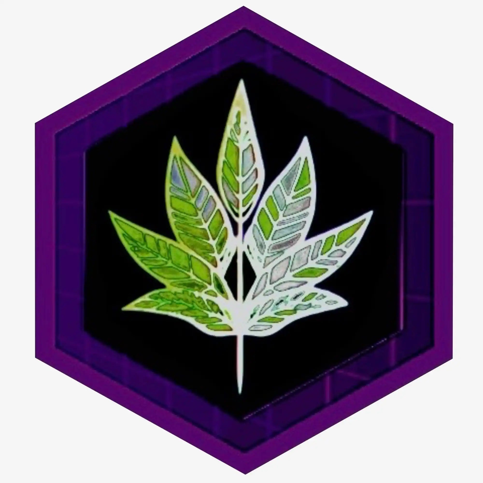 Variegated Cannabis Seeds