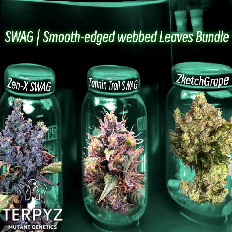 TerpyZ - SWAG | Smooth-edged webbed Leaves Bundle