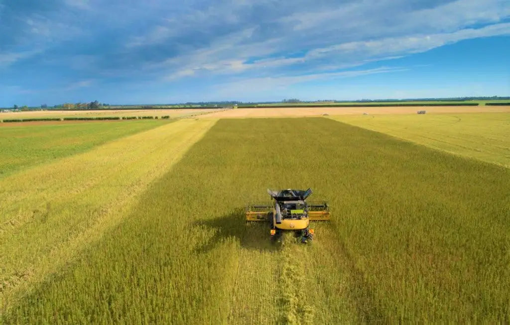 How could an online platform contribute to the development of a more sustainable European Hemp Industry?