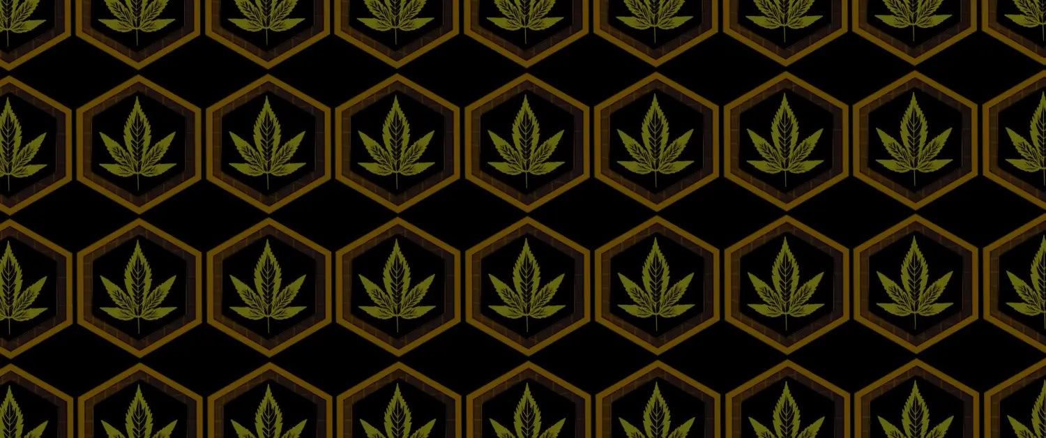 Feminised cannabis seeds