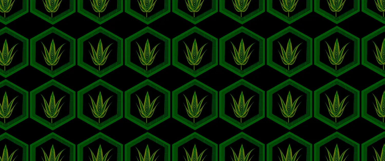 Smooth Ducks Leaf Mutant Cannabis Seeds