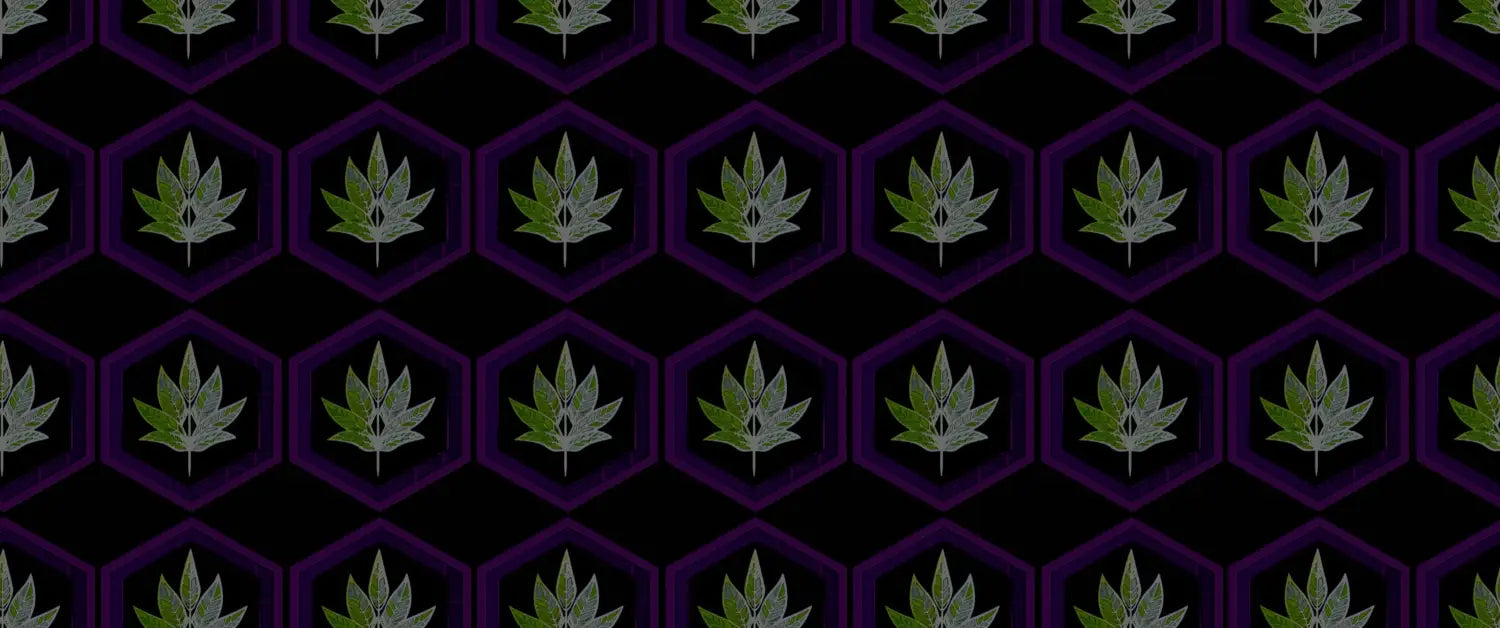 Variegated cannabis seeds