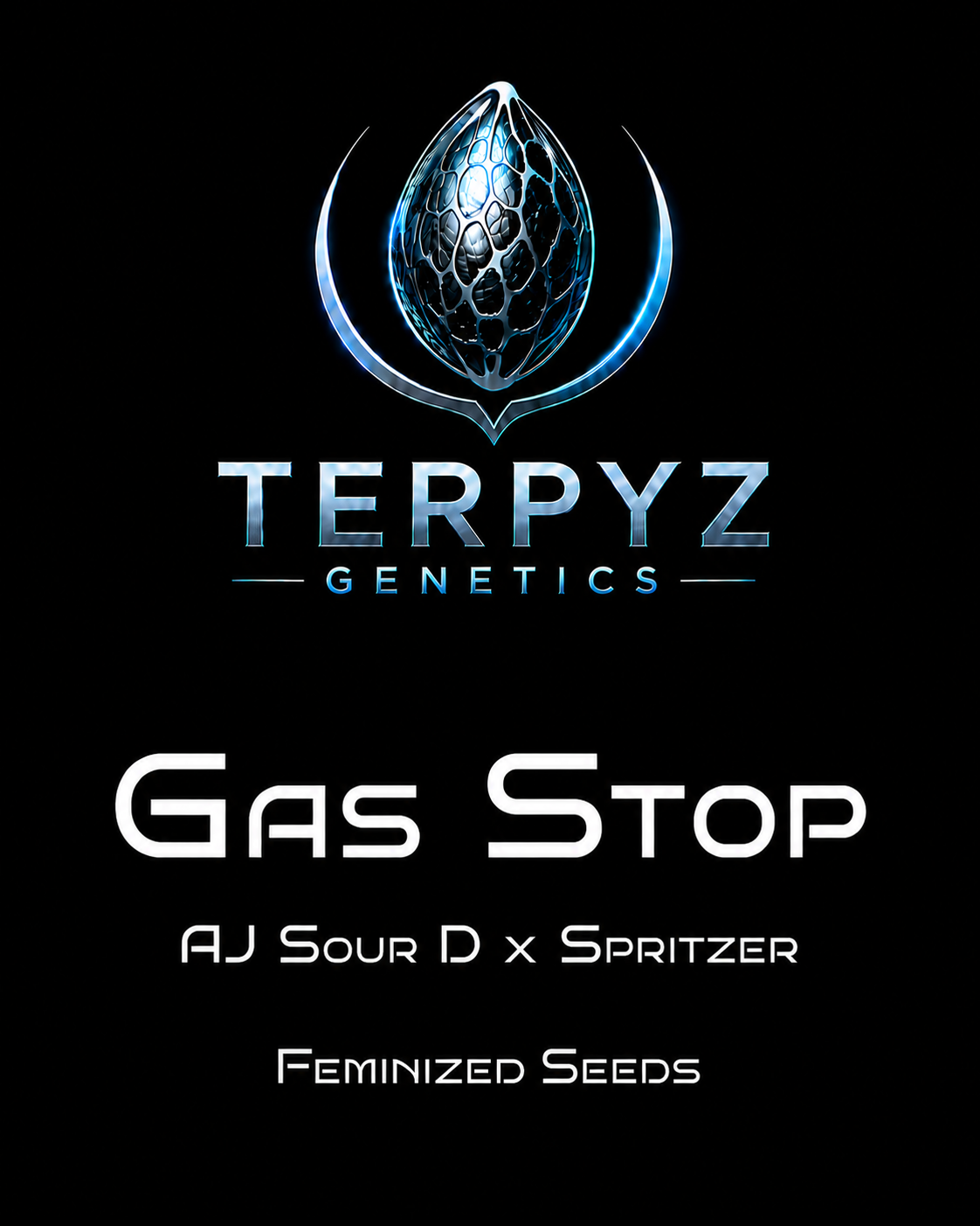 Gas Stop
