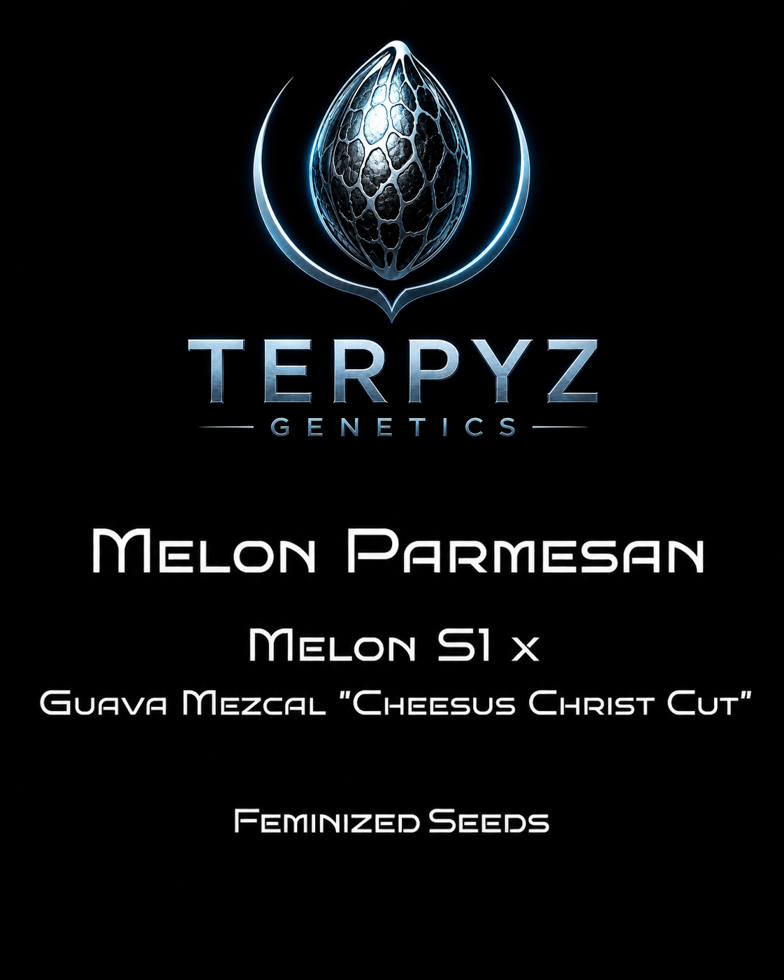 Melon Parmesan