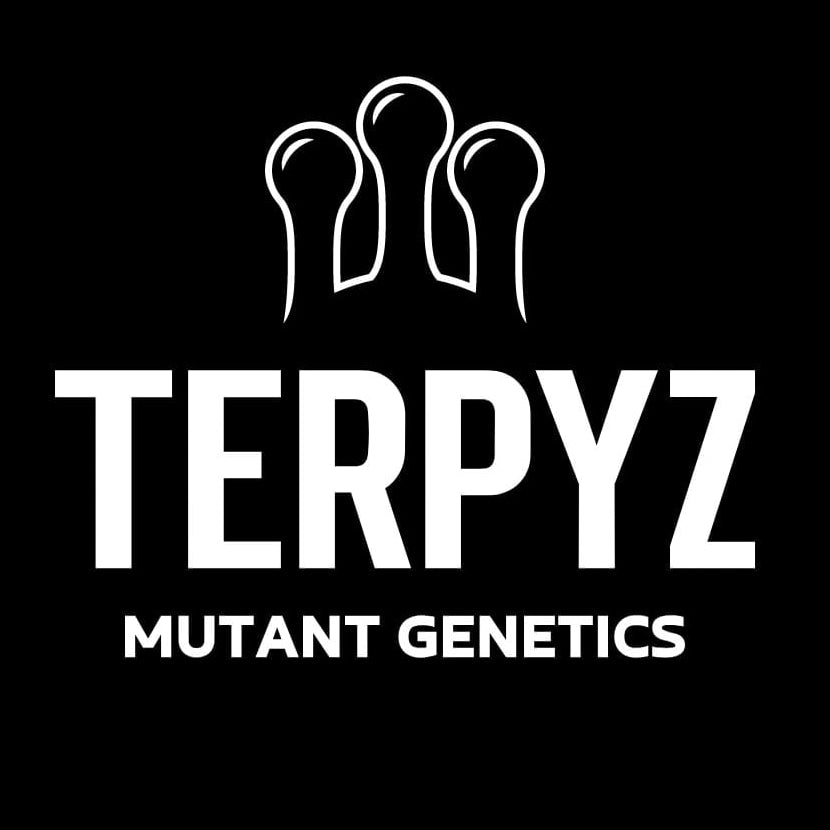 TerpyZ X KalySeeds logo