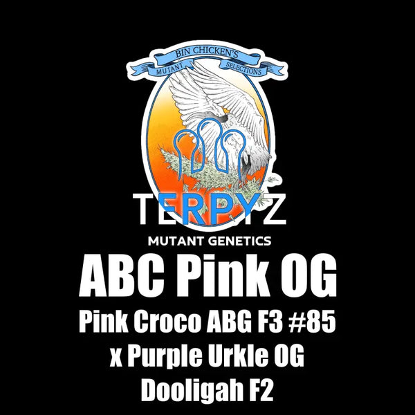 Abc pink og terpyz upcoming strains