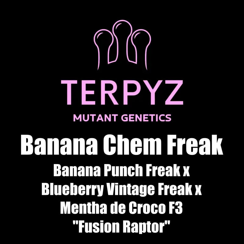 Banana chem freak© fern-type reg terpyz mutant genetics