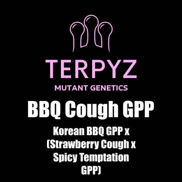 Bbq cough gpp terpyz mutant genetics cannabis seeds