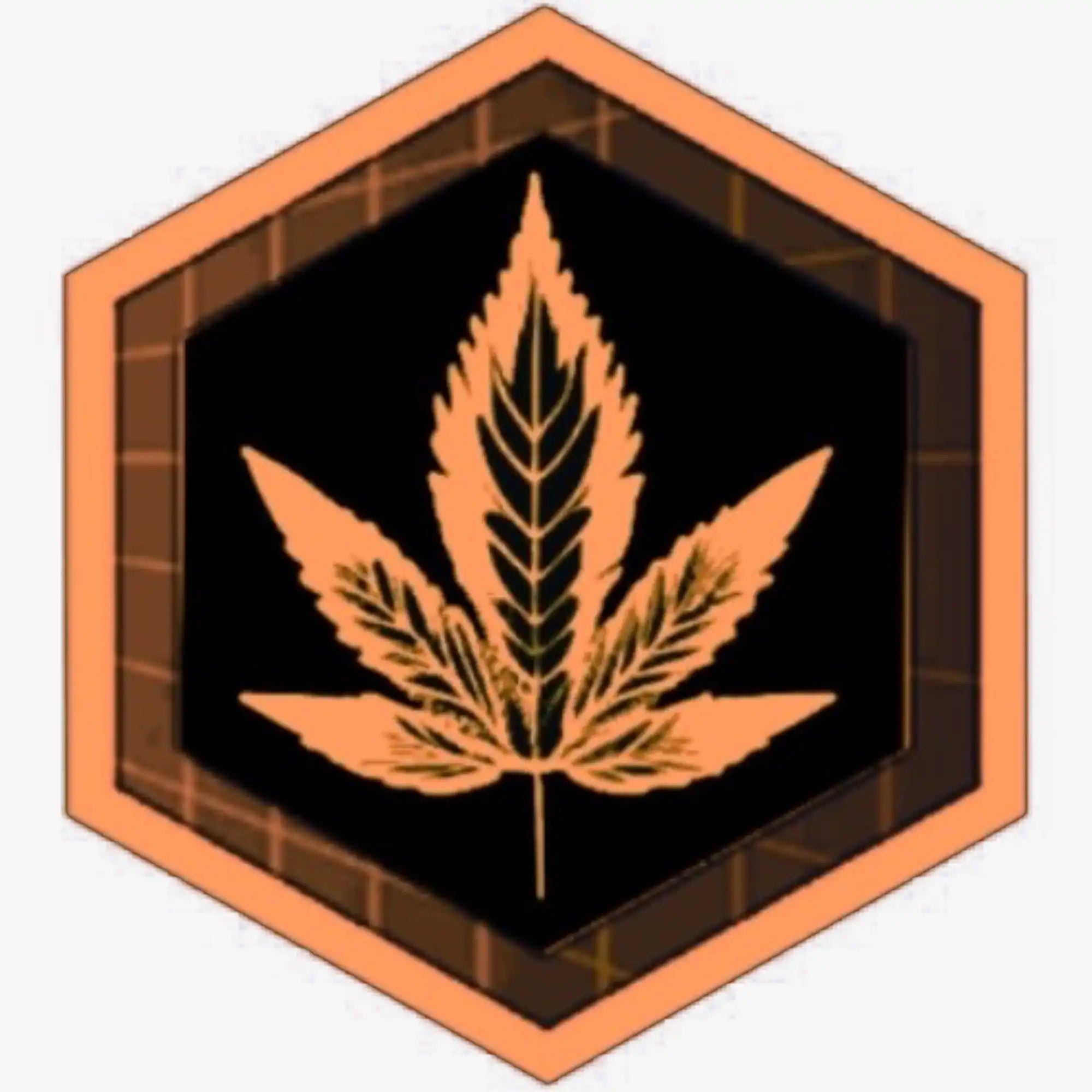 F1 Hybrid Cannabis Seeds