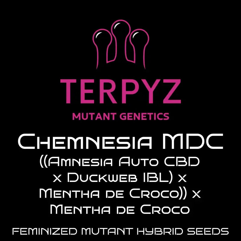 Chemnesia mdc terpyz upcoming strains