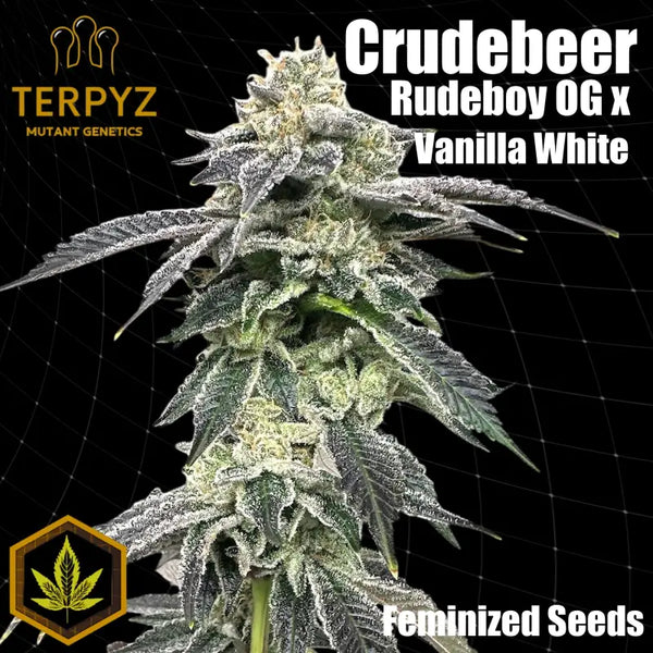 Crudebeer© fem terpyz mutant genetics feminized cannabis