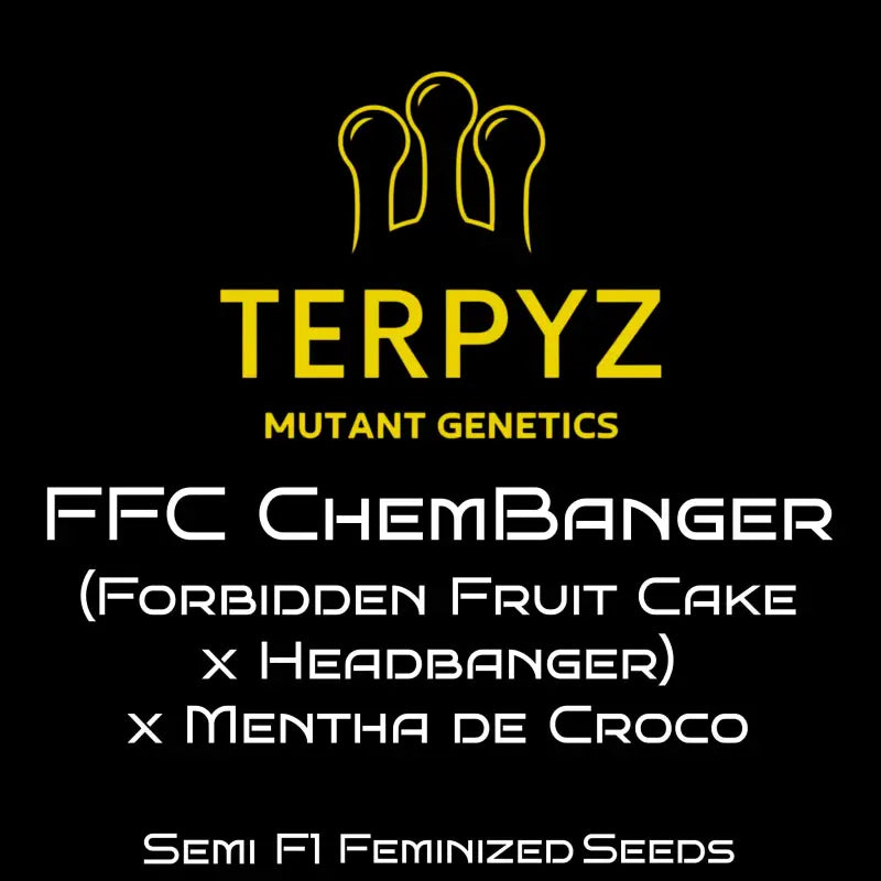 Ffc chembanger terpyz upcoming strains