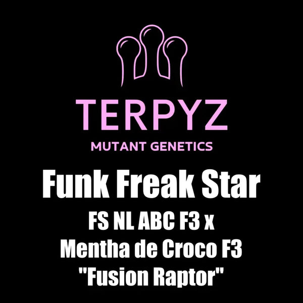 Funk freak star© fern-type reg terpyz mutant genetics fern