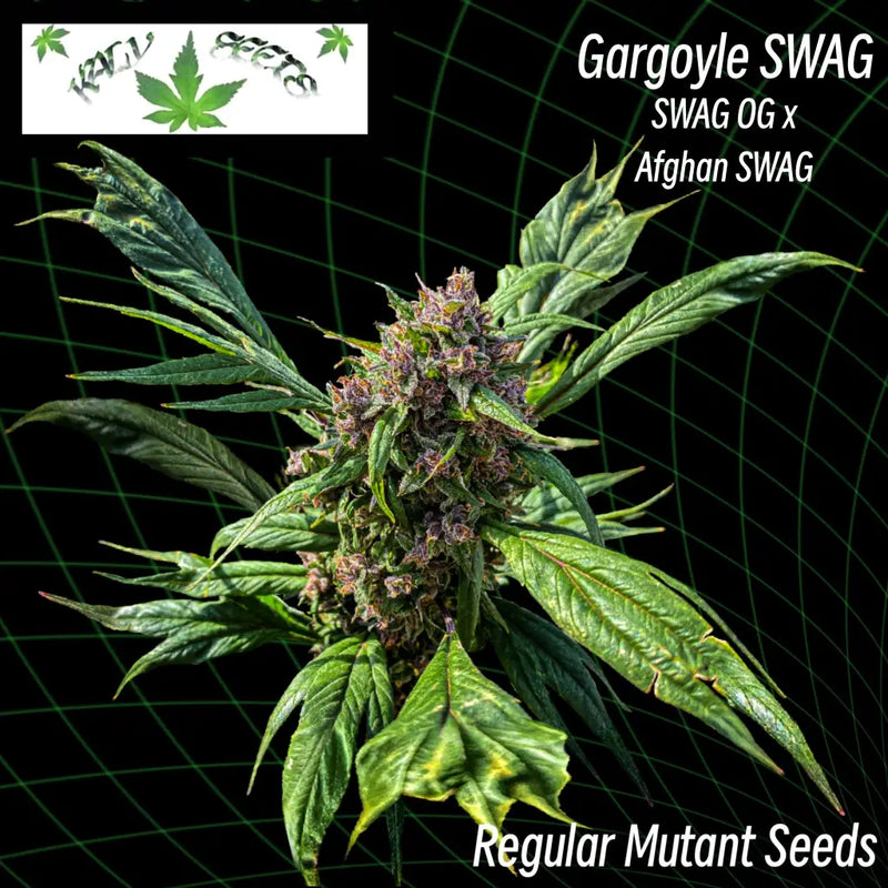 Gargoyle swag ’smooth-edged webbed leaves’ (regular