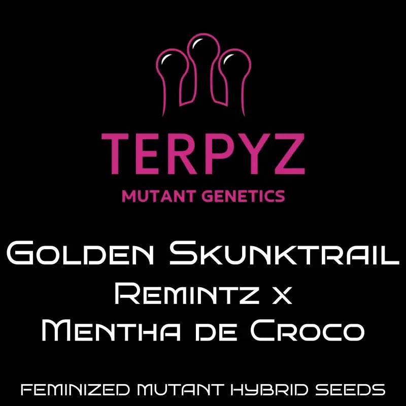Golden skunktrail terpyz upcoming strains
