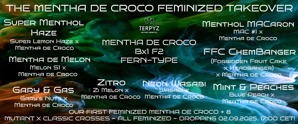 List of cannabis strain crosses from Terpyz Mutant Genetics.