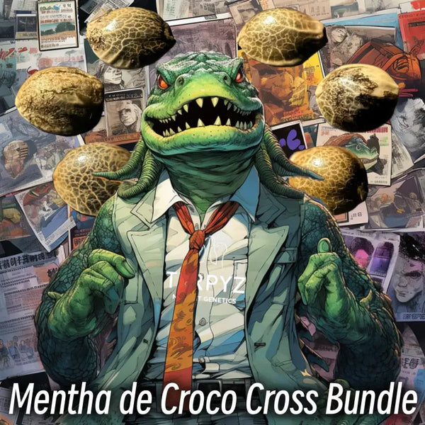 Mentha de croco cross bundle terpyz mutant genetics bundles