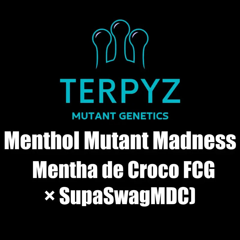 Menthol mutant madness terpyz upcoming strains