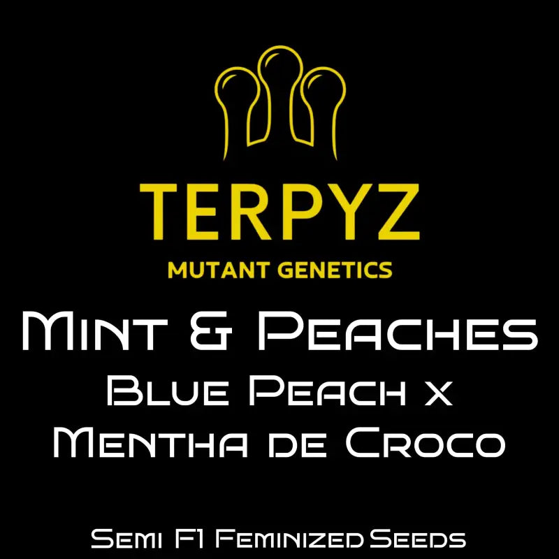 Mint & peaches terpyz upcoming strains