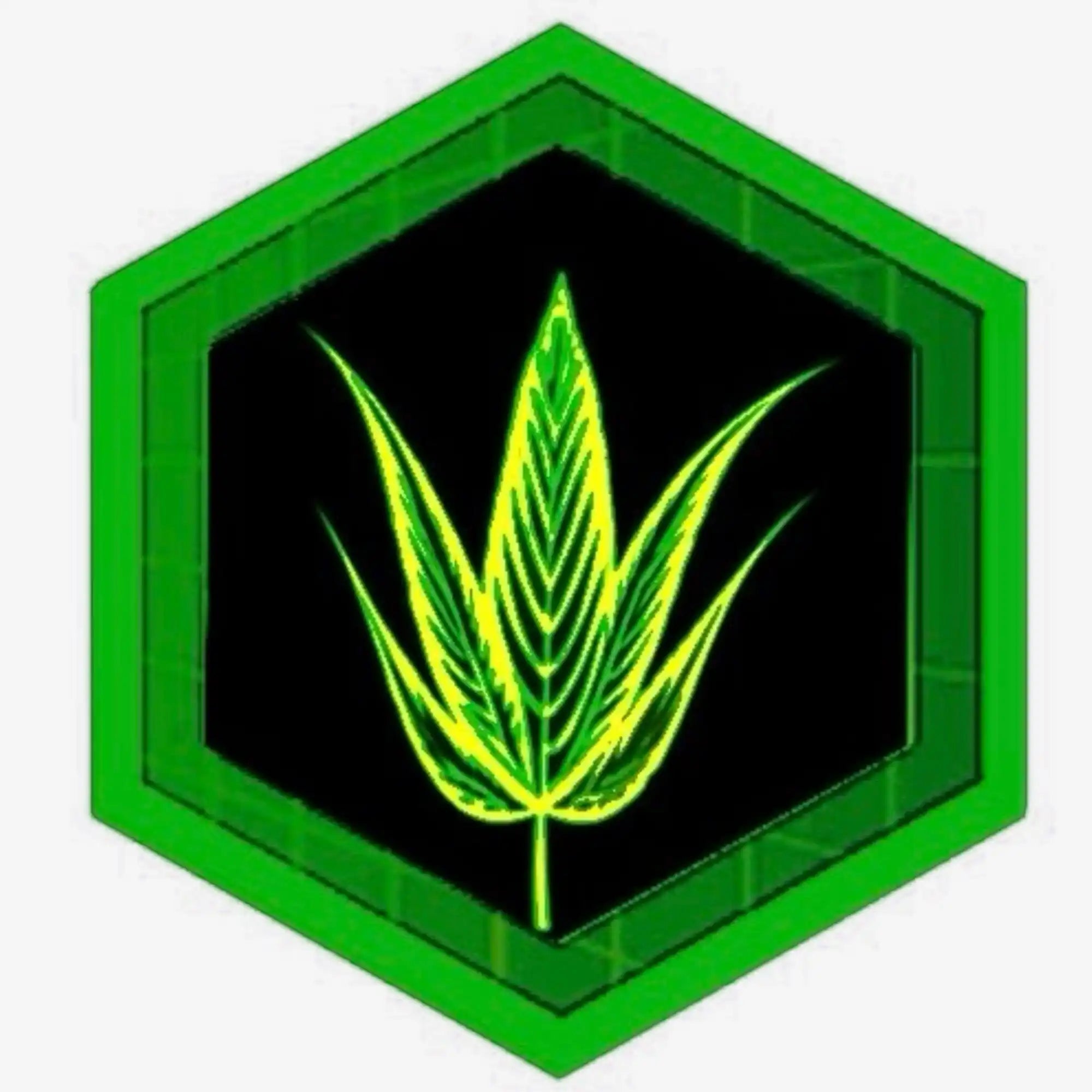 Smooth Ducks Leaf Mutant Cannabis Seeds | Maple leaves