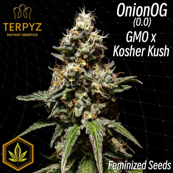 Onionog (o.o)© fem terpyz mutant genetics feminized