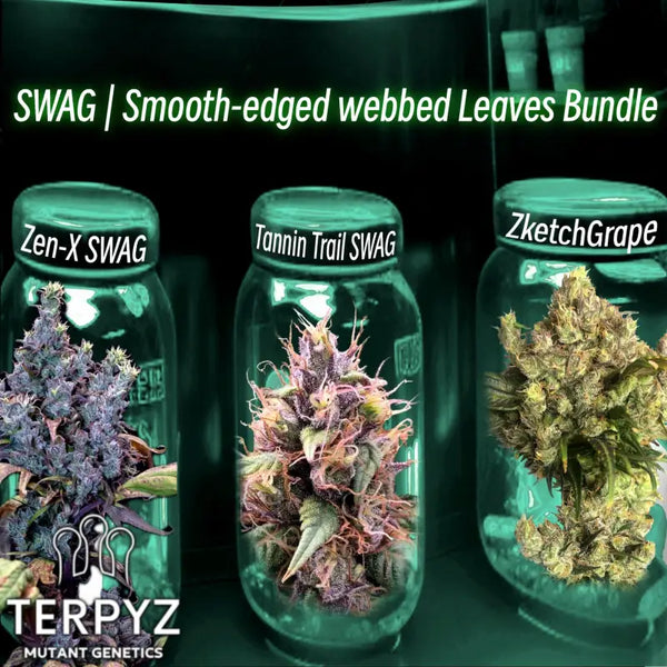 Swag | smooth-edged webbed leaves bundle terpyz mutant