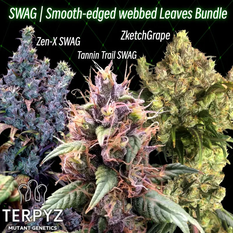Swag | smooth - edged webbed leaves bundle terpyz mutant