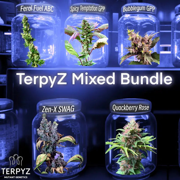 Terpyz mixed mutant bundle genetics collector