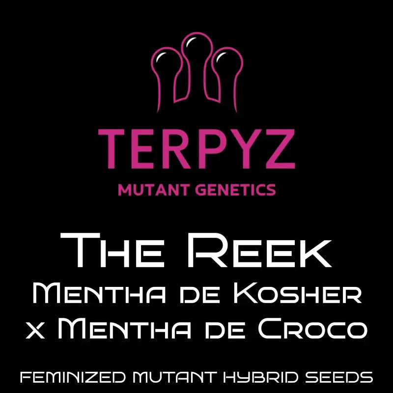 The reek terpyz upcoming strains
