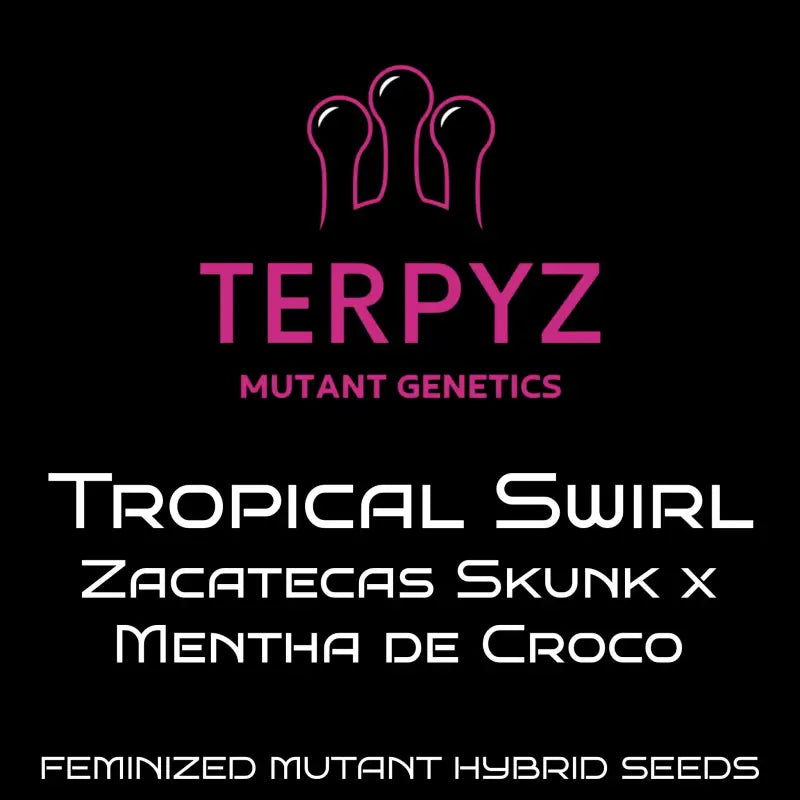 Tropical swirl terpyz upcoming strains
