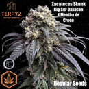 Zacatecas skunk© semi f1 reg terpyz mutant genetics hybrid