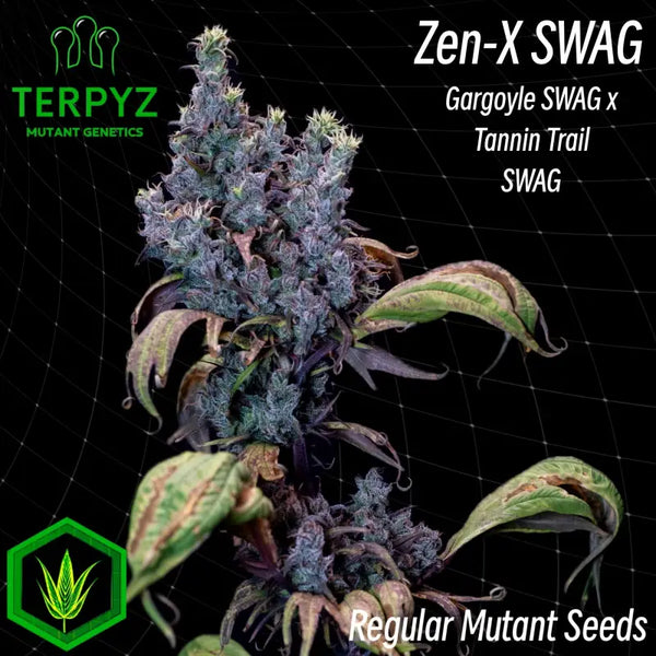 Zen - x swag© mutant reg terpyz genetics cannabis seeds